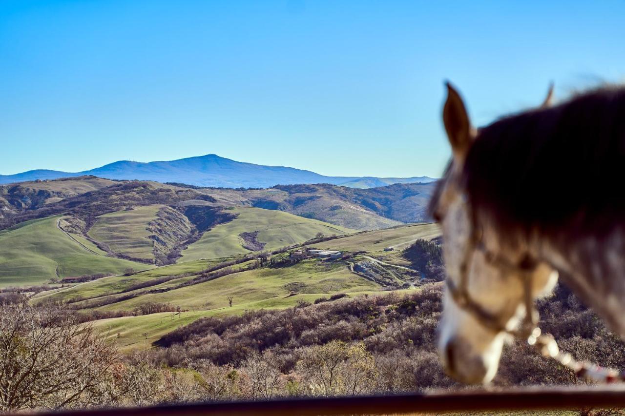 Az.Agr. Il Cavalleggero Campiglia dʼOrcia Exteriör bild