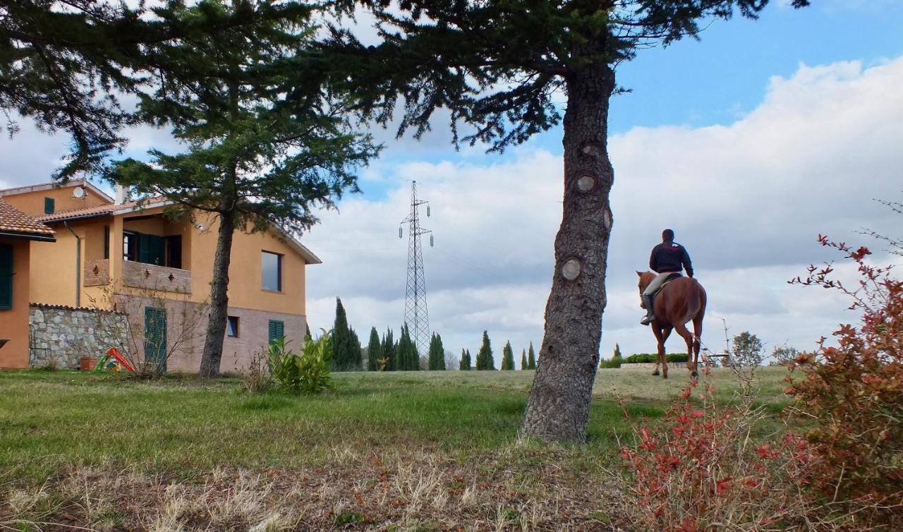 Az.Agr. Il Cavalleggero Campiglia dʼOrcia Exteriör bild