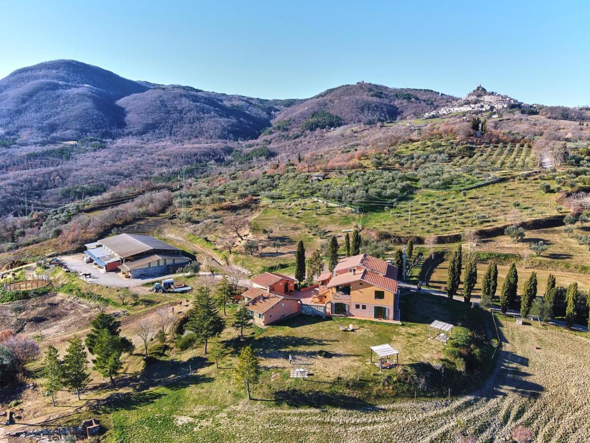 Az.Agr. Il Cavalleggero Campiglia dʼOrcia Exteriör bild