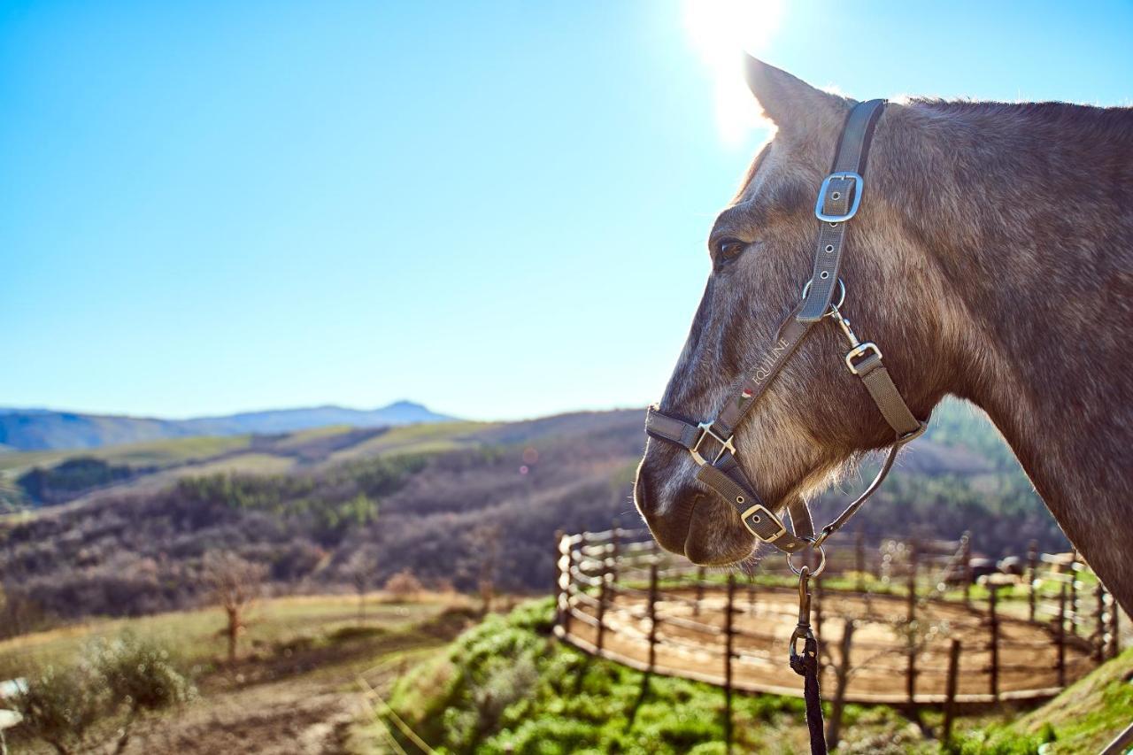 Az.Agr. Il Cavalleggero Campiglia dʼOrcia Exteriör bild